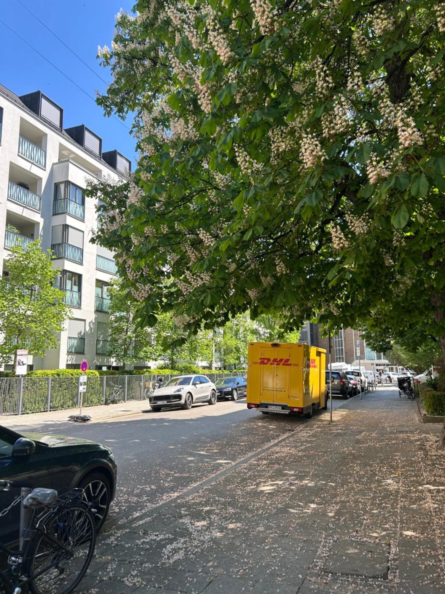Haydn Munich